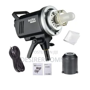 Godox Ms300 Studio Flash Monolight 2-Light Kit