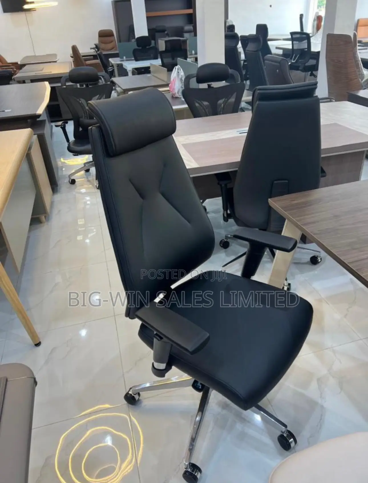 Executive Office Chair
