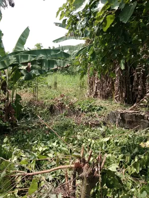 3 Plots of at in Cornerstone Estate, Magboro