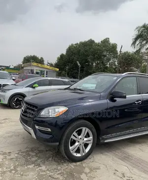 Mercedes-Benz M Class 2013 Blue