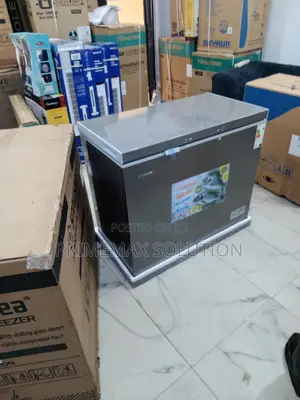 Snowsea Bd308g 220 Litres Deep Freezer – Adjustable Temperature