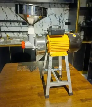 Electric Wet and Dry Grinder for Spices
