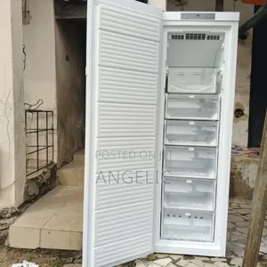 Standing Freezer (Germany)
