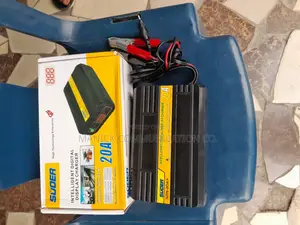 Suoer Battery Charger