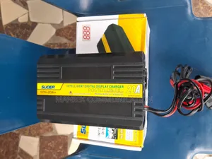 Suoer Battery Charger