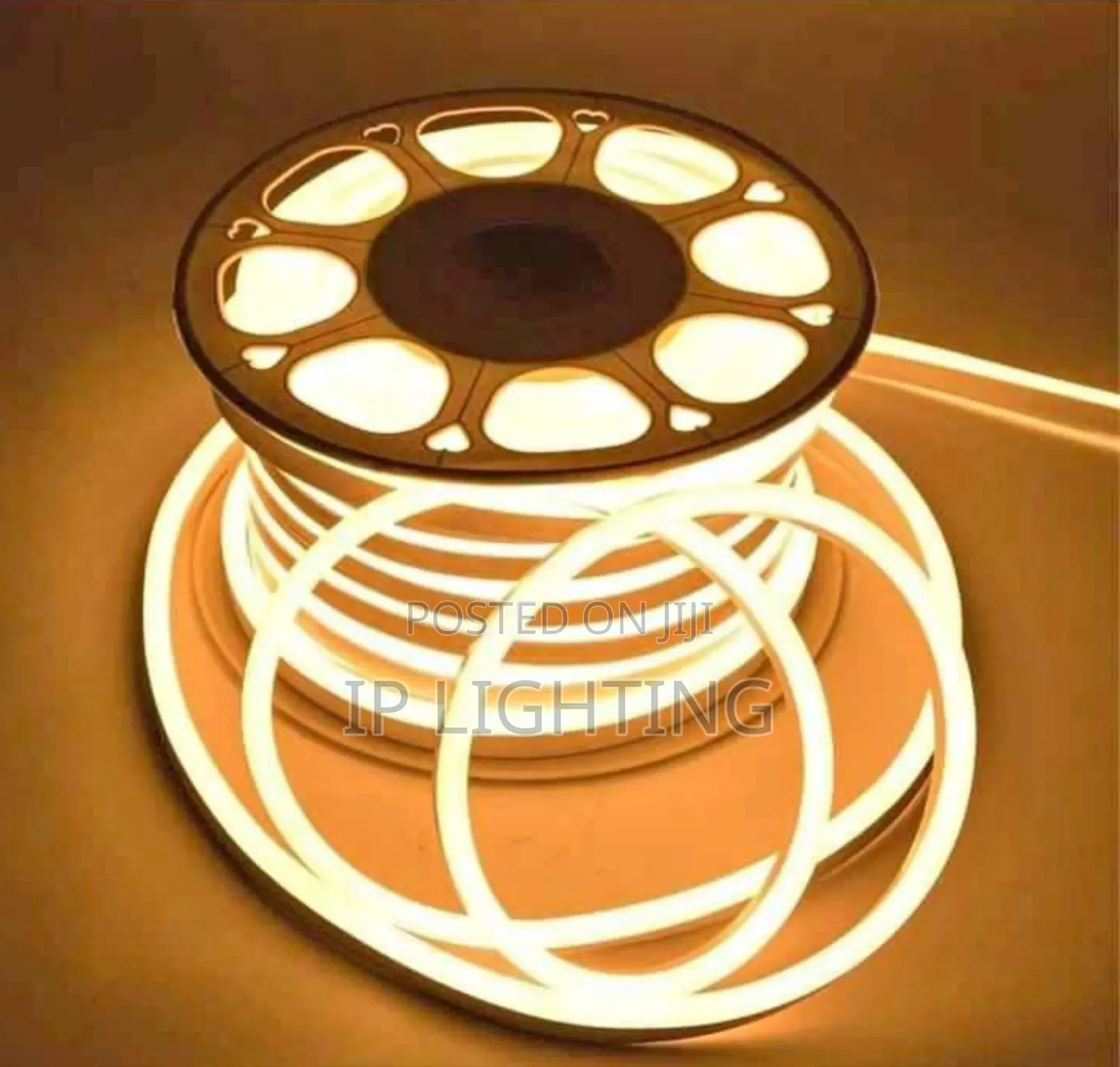 Neon Rop Light Carton