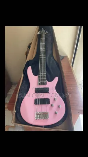 Passive Professional 5strings Bass Guitar With Bag And Strap