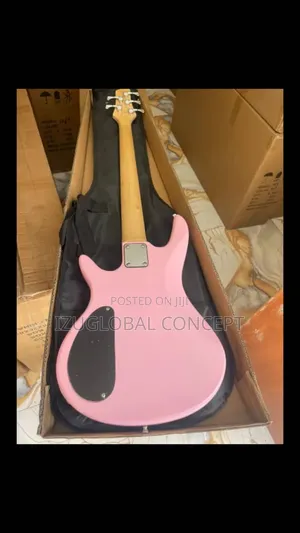 Passive Professional 5strings Bass Guitar With Bag And Strap