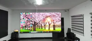 Led Screen Specialist for Lagos Ceremonies and Billboards