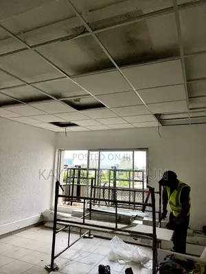 Suspended Ceiling