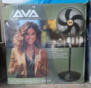 Tm Quality Standing Fan