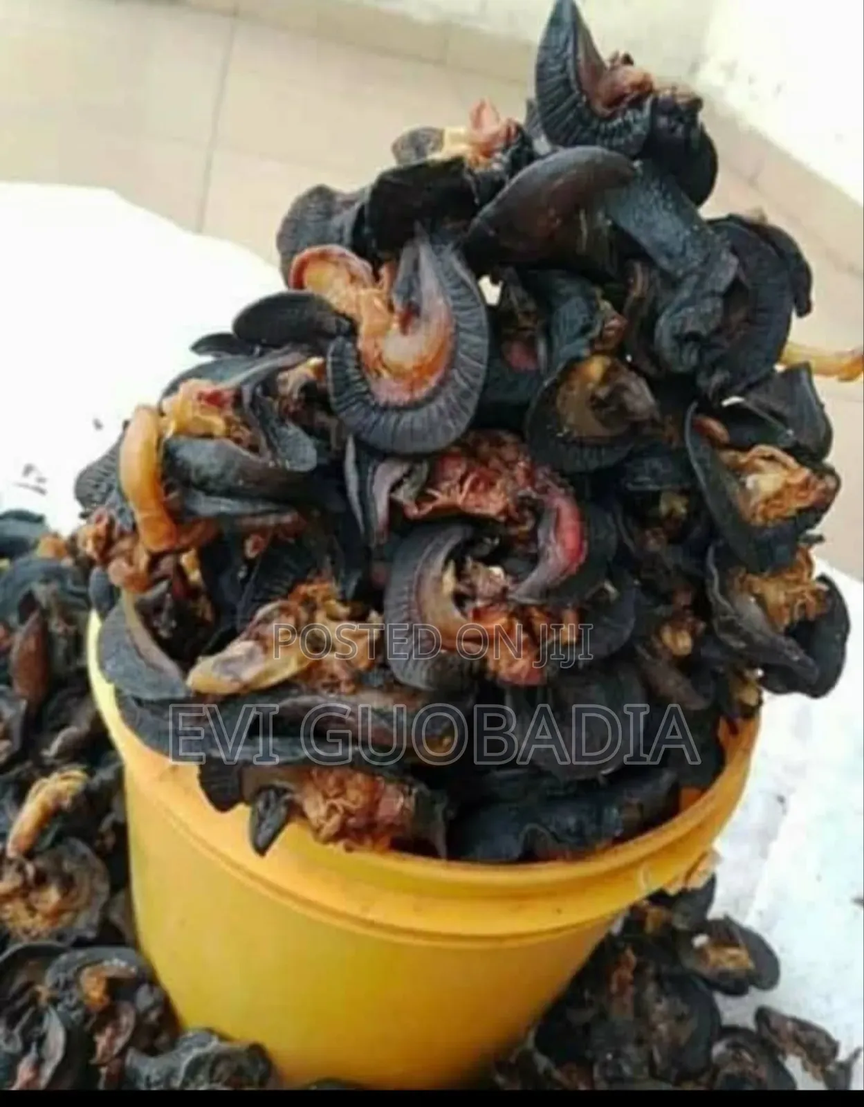 Dried Snail