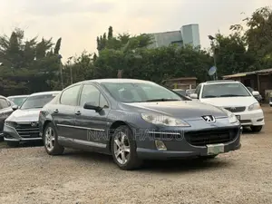 Peugeot 407 2005 Gray