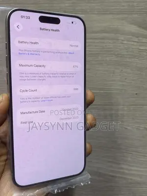 Apple iPhone 15 Pro Max 512 GB Silver