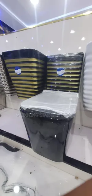 Standard Water Closet Set
