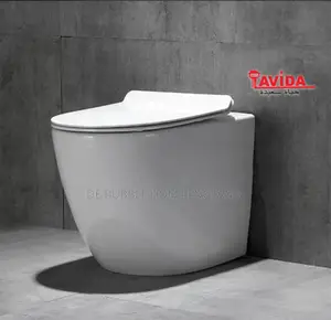Seat on the Floor Concealed Wc