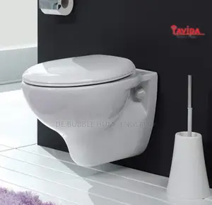 Executive Concealed Water Closet