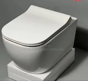 High Quality Concealed Water Closet