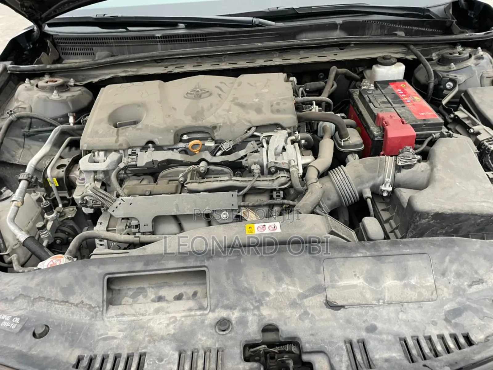 Toyota Camry L (2.5L 4cyl 8A) 2019 Green