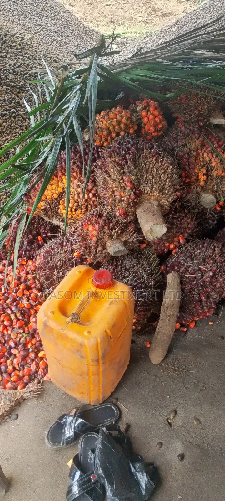 Palm Oil 25ltrs