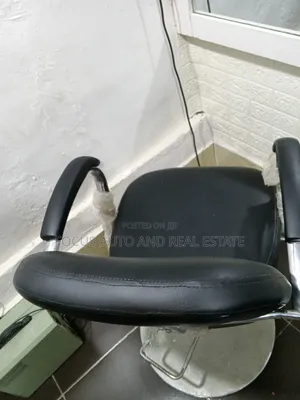 Salon Chair