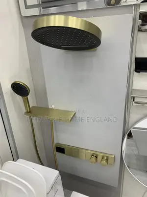 Executive Shower Mixer Gold