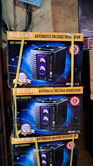 Blue Gate 5000 Watts , 220/110 Voltage