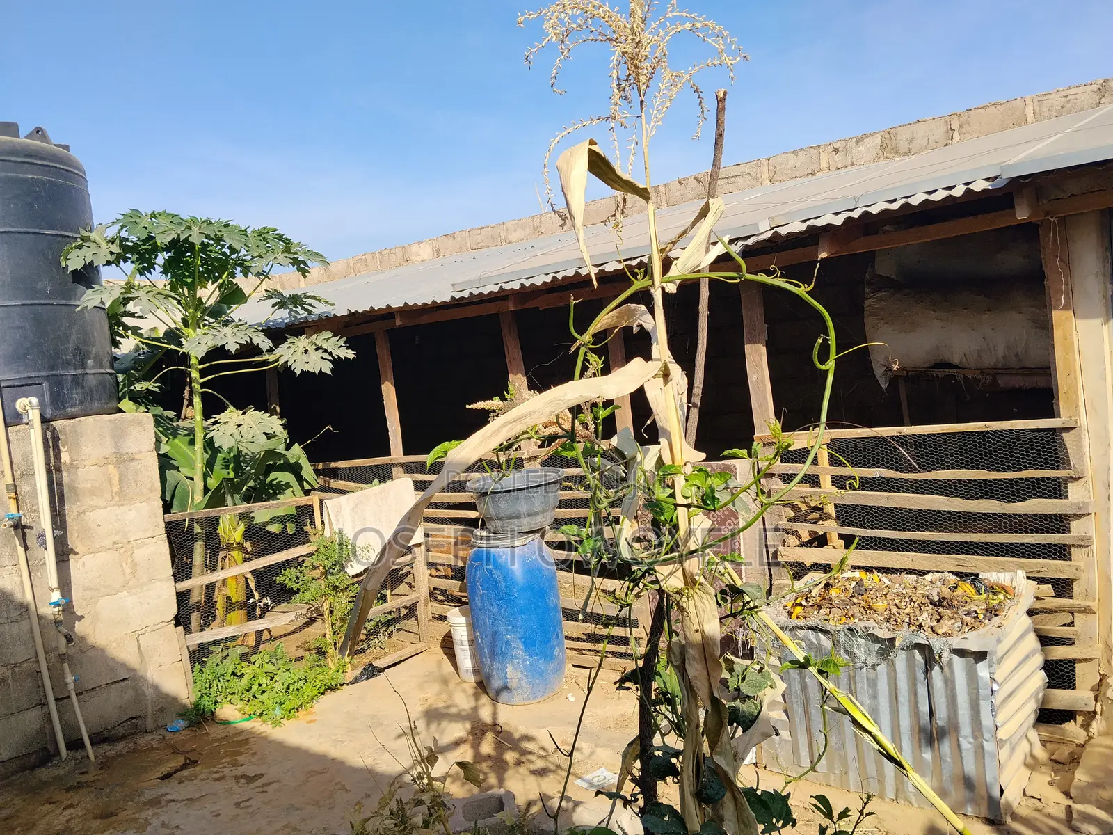 Poultry Farm