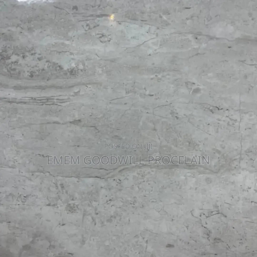 Goodwill Ceramics Tiles Floor and Wall Usage Only 60×60cm