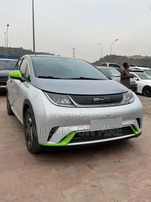 BYD Tang EV 2025 Silver