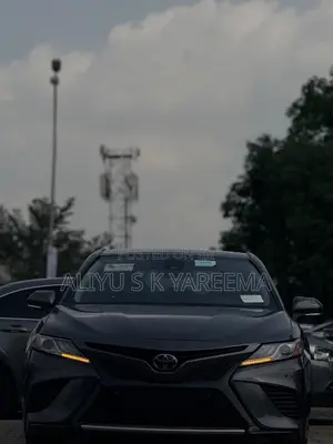 Toyota Camry XLE (2.5L 4cyl 8A) 2019 Gray