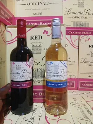 Lamothe Parrot – Exclusive Wholesale Offer!