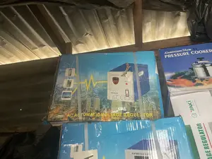 High-Performance 3000w Stabilizer