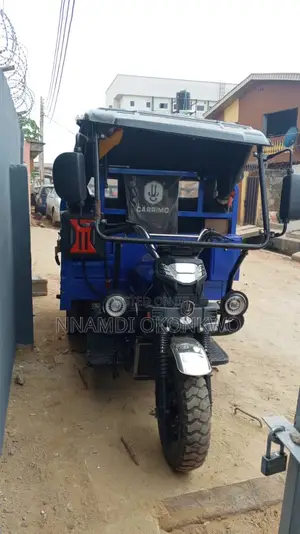 Tricycle 2025 Blue