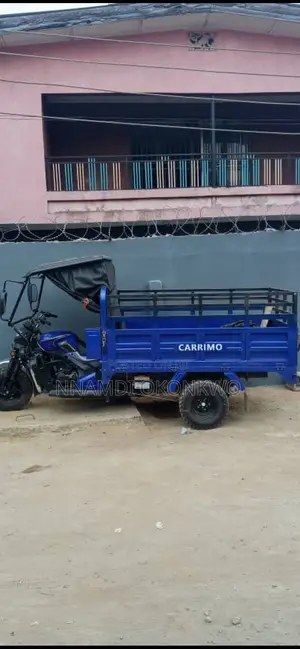 Tricycle 2025 Blue