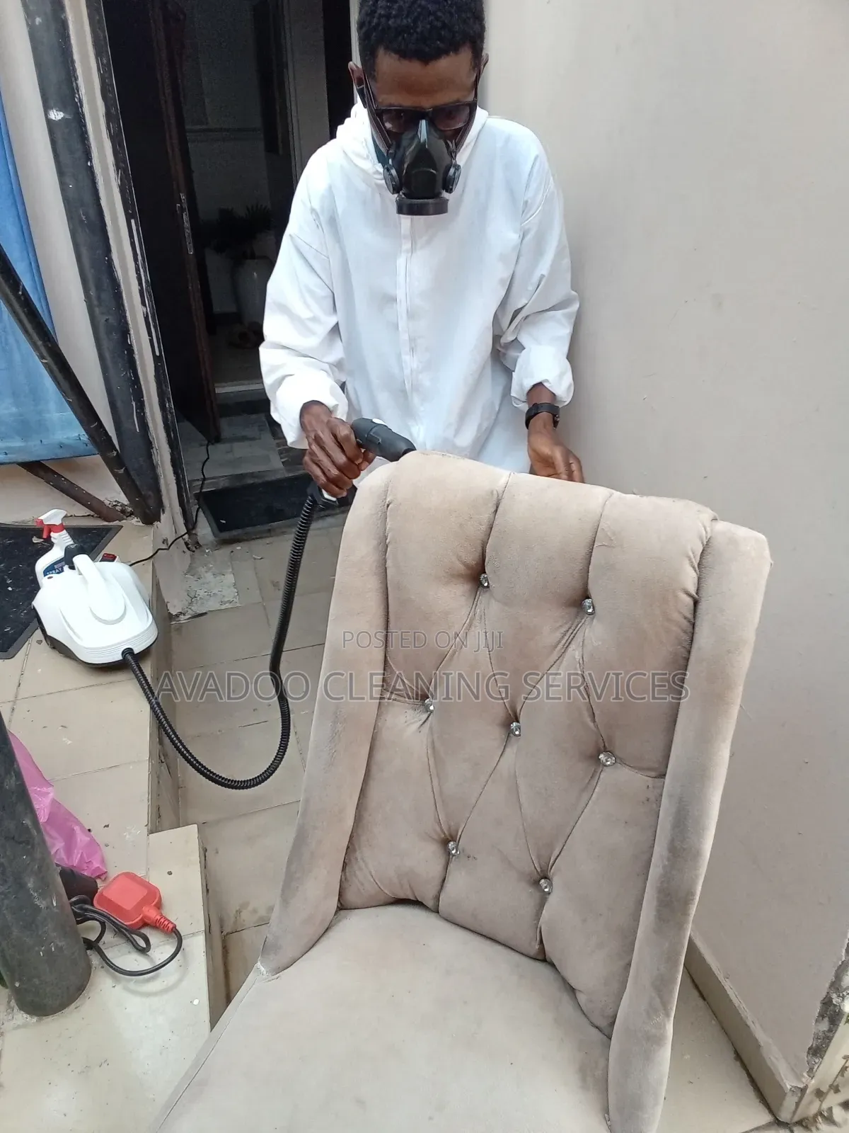 Bedbugs Removal and Mattress Sanitizing Service Abuja