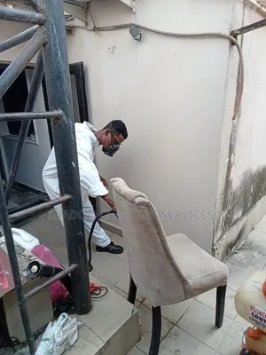 Bedbugs Removal and Mattress Sanitizing Service Abuja