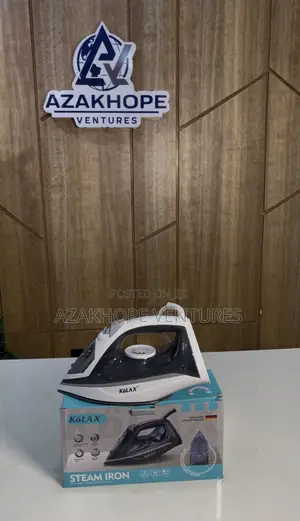 Steam Iron