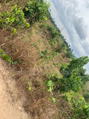 Prime 2 Plots in Inec Estate, Lodu Ibeku Umuahia (Allocation Paper)