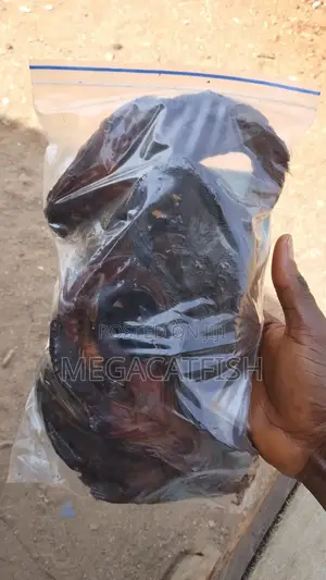 Smoked Catfish