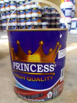 Princess High Quality Paint