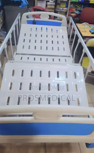 3 Crank Electric Bed (Remote Control)