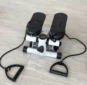 Standard Mini Stepper
