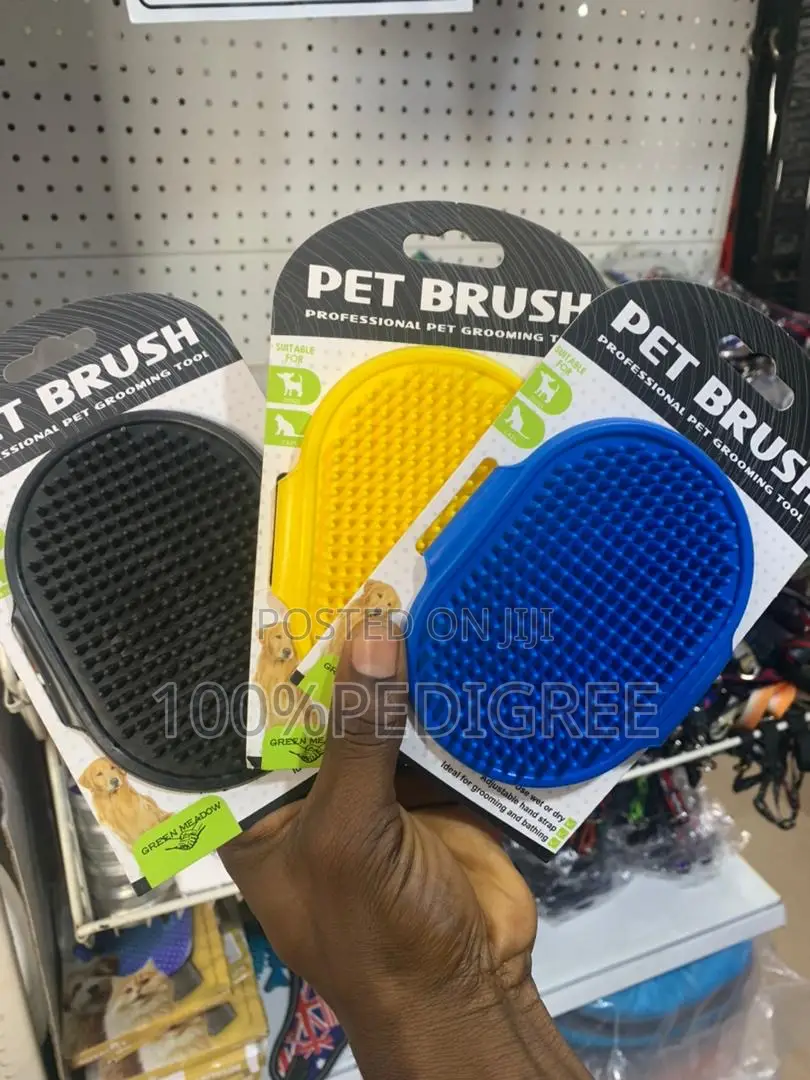 Bathing Brush