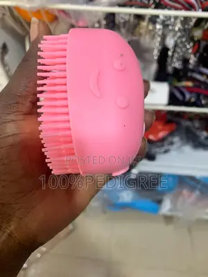Bathing Brush