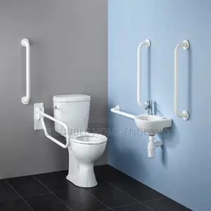 Executive Water Closet for Disabled