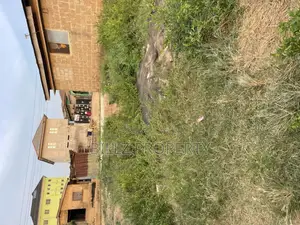 A Complete Half Plot of Land in a Serene Environment