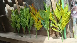 Palm Leaf Available as Seen
