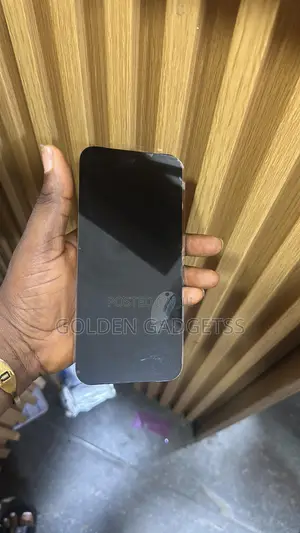 Google Pixel 9 Pro XL Screen