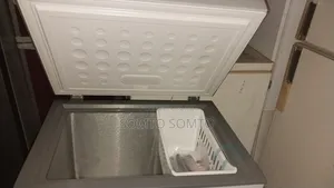 Skyrun Deep Freezer